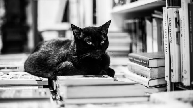 uploaded-image-zeytin-ve-zeytin-yagi-ile-sos-tarifleri-1698147885512