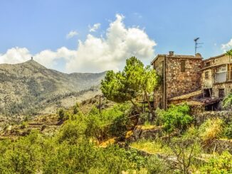 Akdeniz Bölgesi’nde Zeytin Hasadı İçin İklim Etkileri