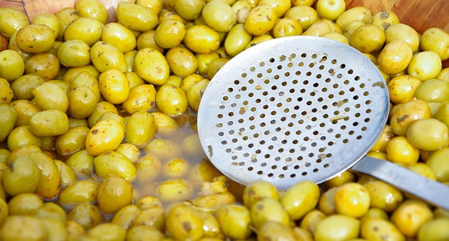Antik Zeytin Ağaçları Koruma Altında Antik Zeytin Ağaçları Koruma Altında