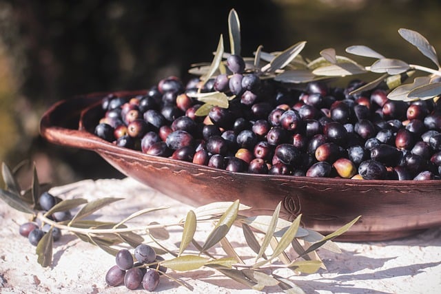 Avrupa'nın Zeytin İhtiyacı Türkiye’den Karşılanıyor Avrupa'nın Zeytin İhtiyacı Türkiye’den Karşılanıyor