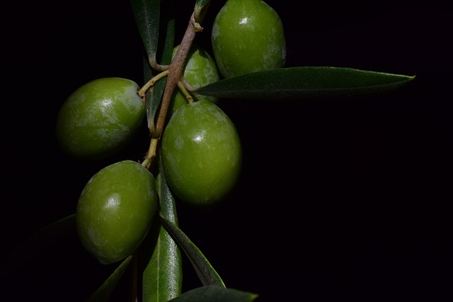 Bebekler İçin Zeytin Yağlı Sabunlar Bebekler İçin Zeytin Yağlı Sabunlar