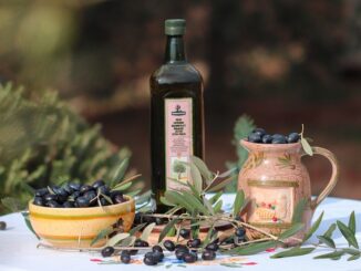 Ege'de Zeytin Hasadı Başladı: Üreticiler Sezona Hazır