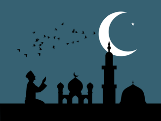 Geleneksel Yöntemlerle Üretilen Zeytin Ürünleri