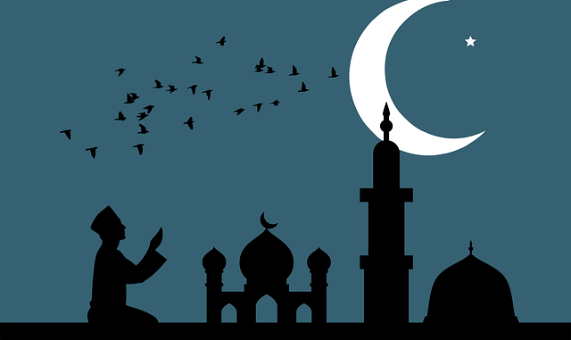 Geleneksel Yöntemlerle Üretilen Zeytin Ürünleri Geleneksel Yöntemlerle Üretilen Zeytin Ürünleri