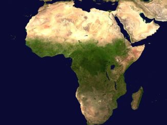 Kuzey Afrika’dan İthal Zeytinyağı Türkiye Pazarında
