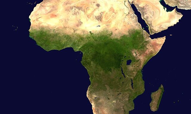 Kuzey Afrika’dan İthal Zeytinyağı Türkiye Pazarında