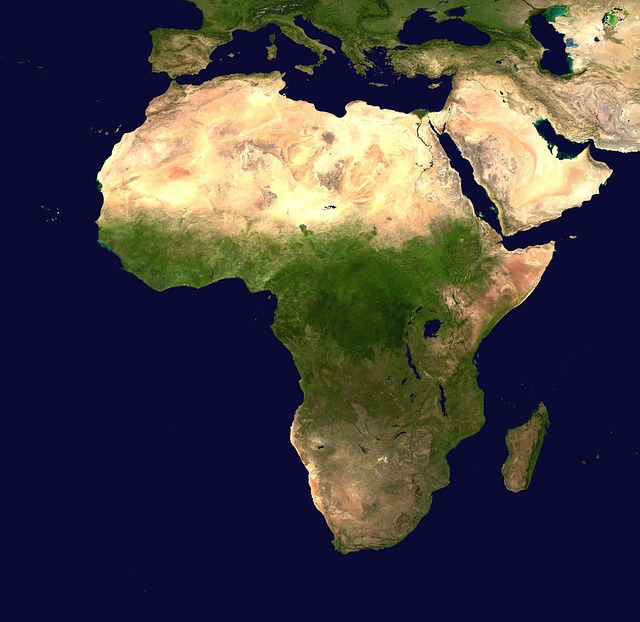 Kuzey Afrika’dan İthal Zeytinyağı Türkiye Pazarında