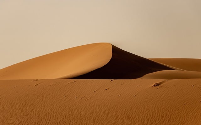 Kuzey Afrika’dan İthal Zeytinyağı Türkiye Pazarında