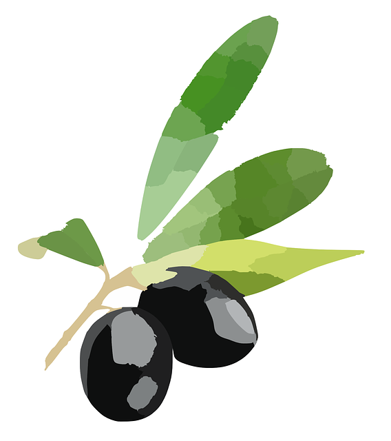 Sağlıklı Yaşam ve Zeytin Tüketimi Arasındaki Bağlantı Sağlıklı Yaşam ve Zeytin Tüketimi Arasındaki Bağlantı