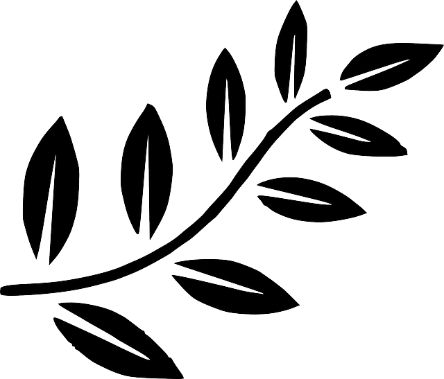 Zeytin Ağaçları Etrafında Çevre Bilinçlendirme Çalışmaları Zeytin Ağaçları Etrafında Çevre Bilinçlendirme Çalışmaları
