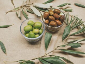 Zeytin Üretiminde Teknoloji Kullanımı Artıyor