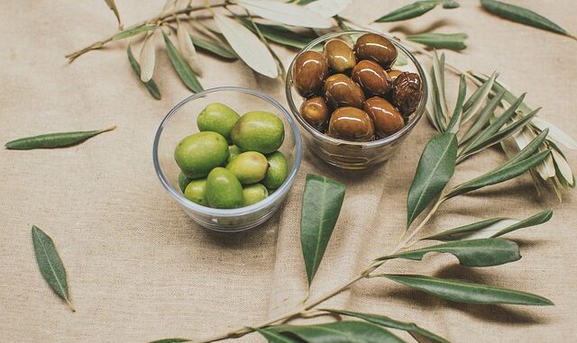 Zeytin Üretiminde Teknoloji Kullanımı Artıyor Zeytin Üretiminde Teknoloji Kullanımı Artıyor