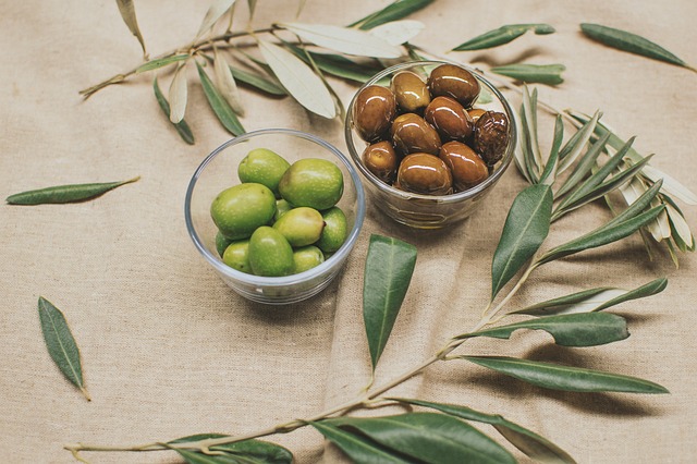 Zeytin Üretiminde Teknoloji Kullanımı Artıyor Zeytin Üretiminde Teknoloji Kullanımı Artıyor